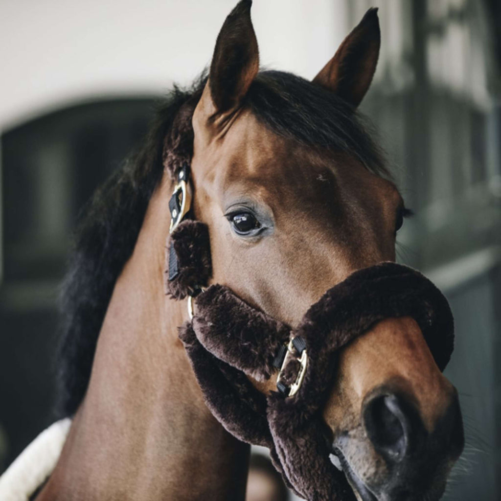 Kentucky Horsewear Cavezza Sheepskin Marrone