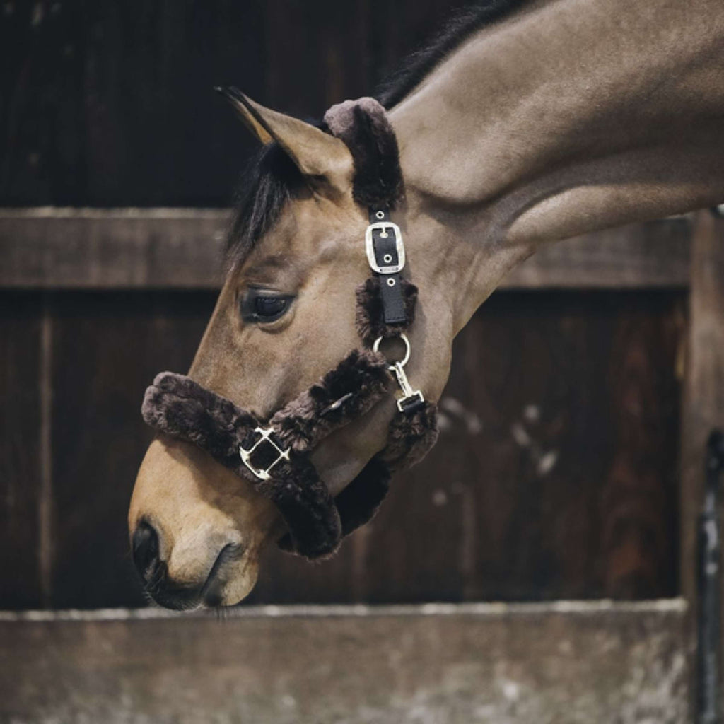 Kentucky Horsewear Cavezza Sheepskin Marrone