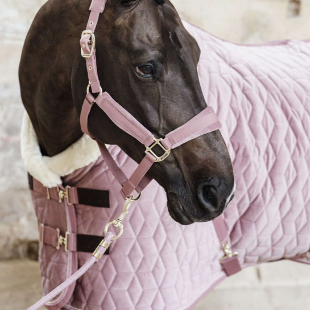 Kentucky Horsewear Corda per cavezza Basic Rosa antico