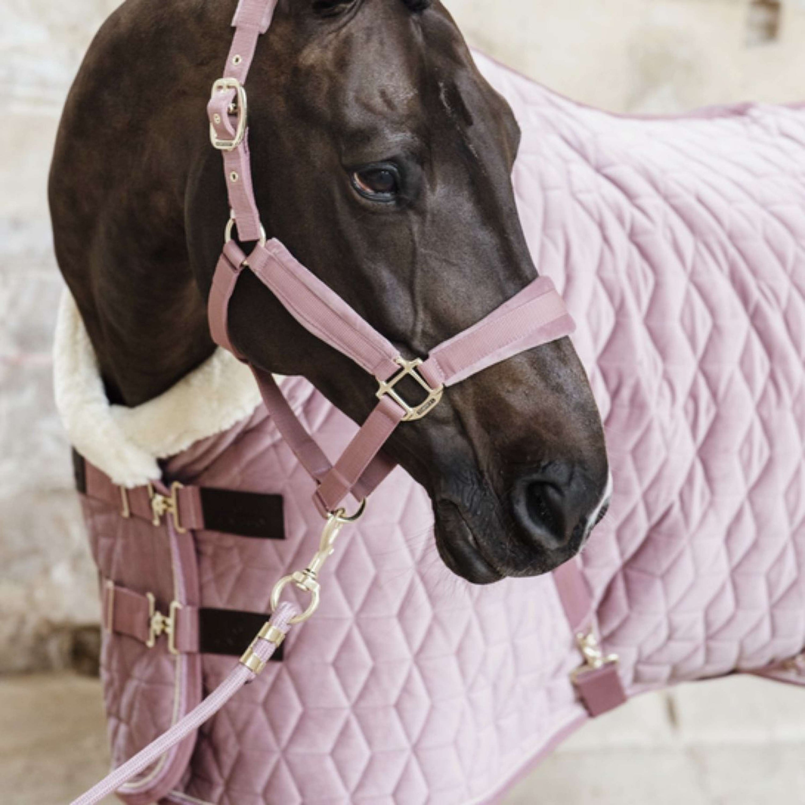 Kentucky Horsewear Corda per cavezza Basic Rosa antico