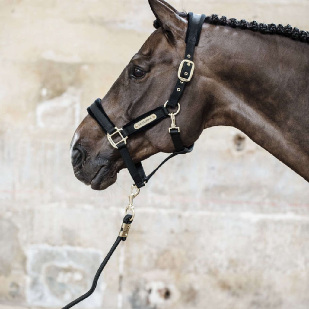 Kentucky Horsewear Corda per cavezza Basic Nero