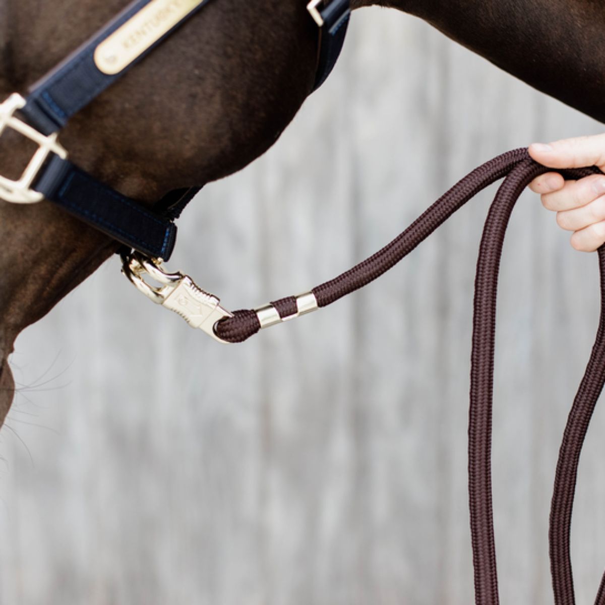 Kentucky Horsewear Corda per cavezza Marrone