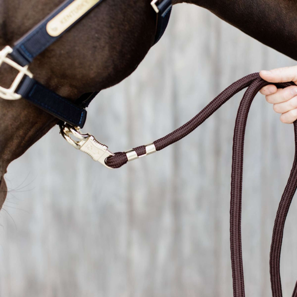 Kentucky Horsewear Corda per cavezza Marrone