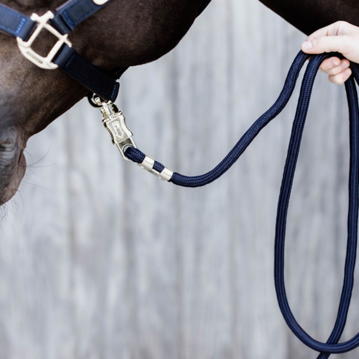 Kentucky Horsewear Corda per cavezza Gancio di sicurezza Navy