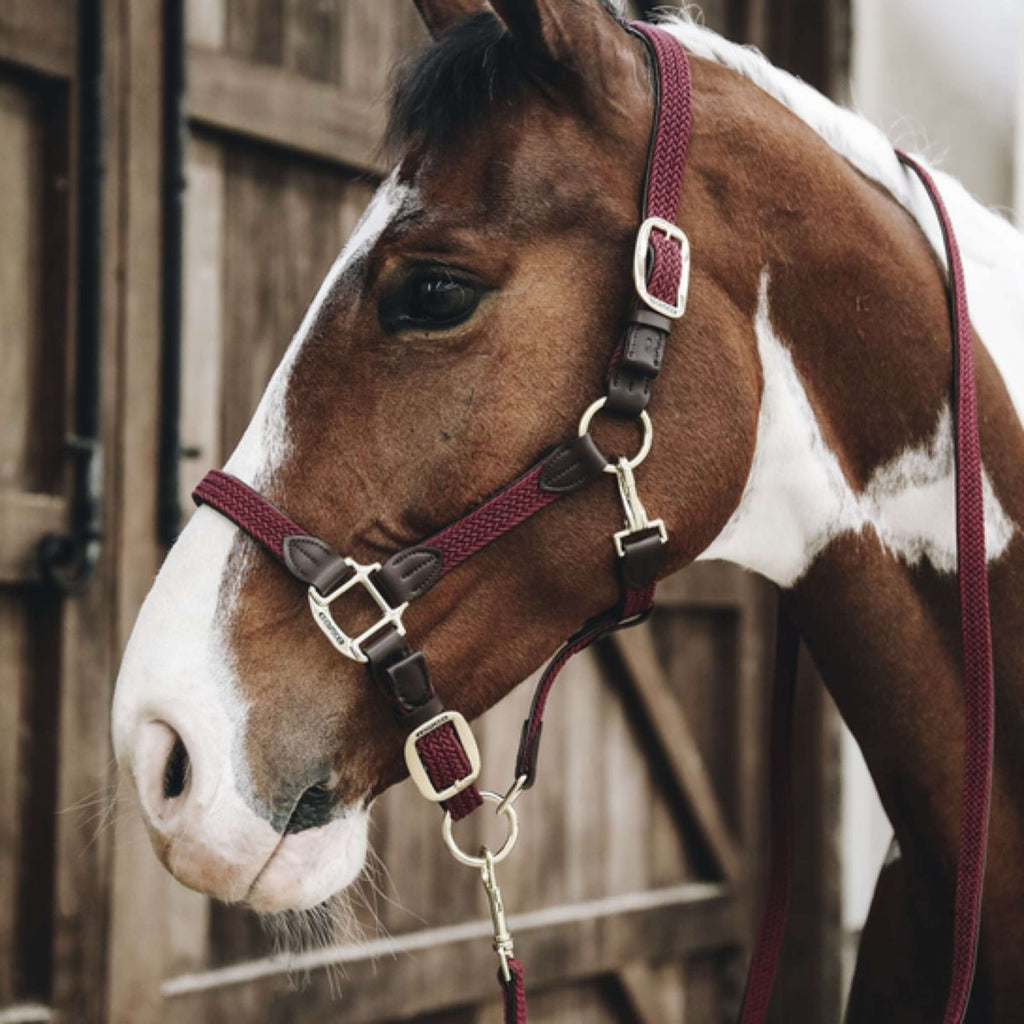 Kentucky Horsewear Cavezza Nylon intrecciato Bordeaux