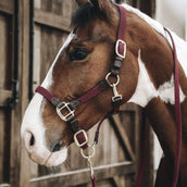 Kentucky Horsewear Capezzina Bordeaux