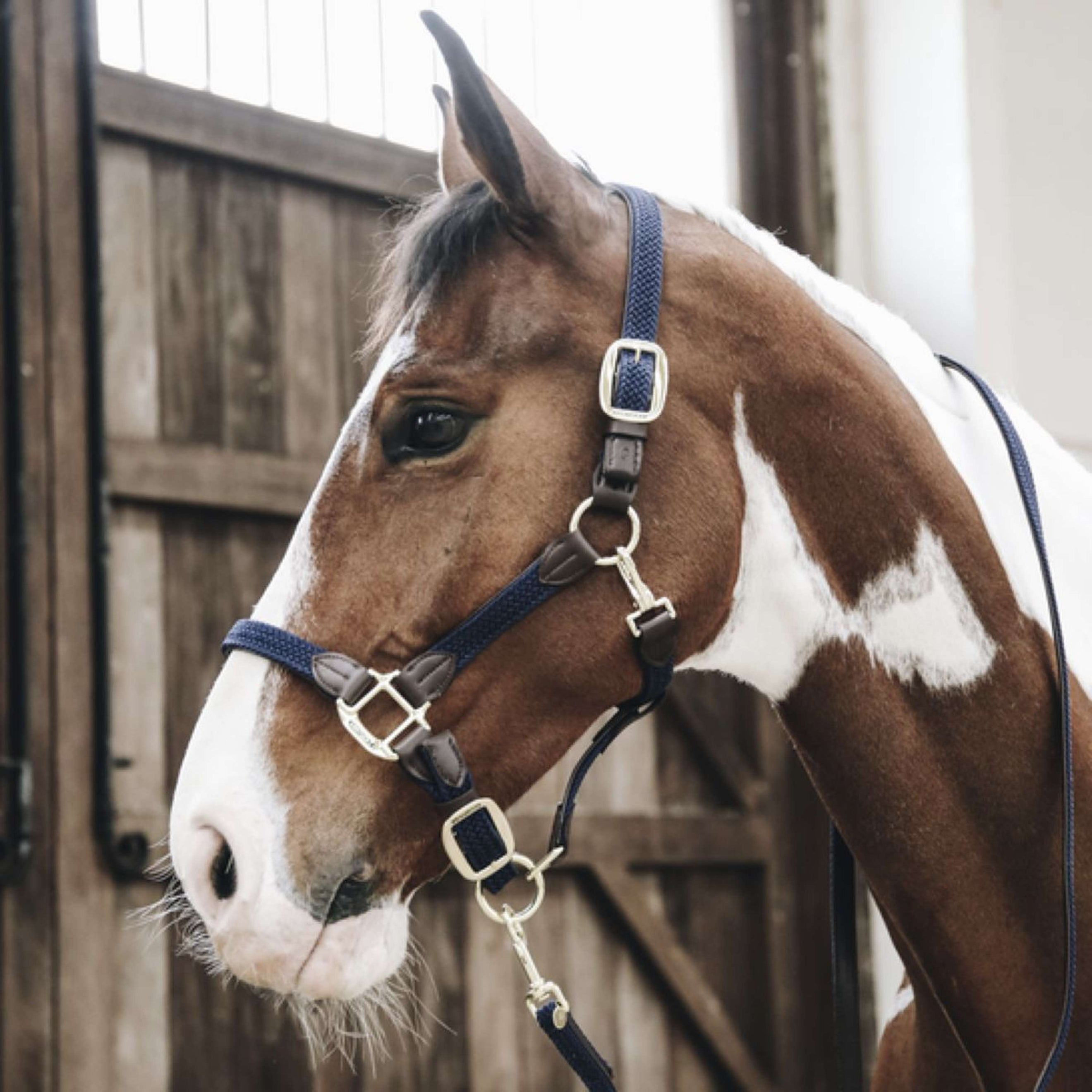 Kentucky Horsewear Cavezza Nylon intrecciato Navy Kentucky Horsewear Cavezza Nylon intrecciato Navy
