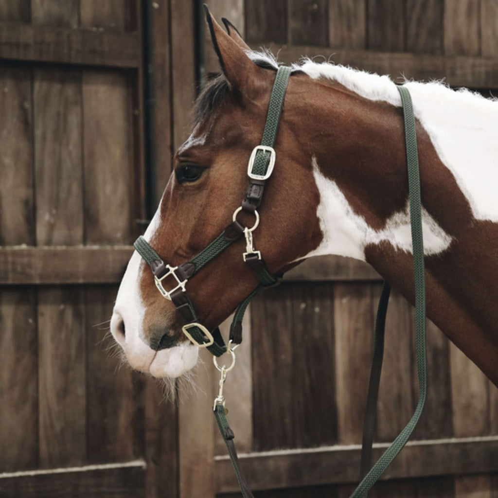 Kentucky Horsewear Cavezza Nylon intrecciato Verde Oliva
