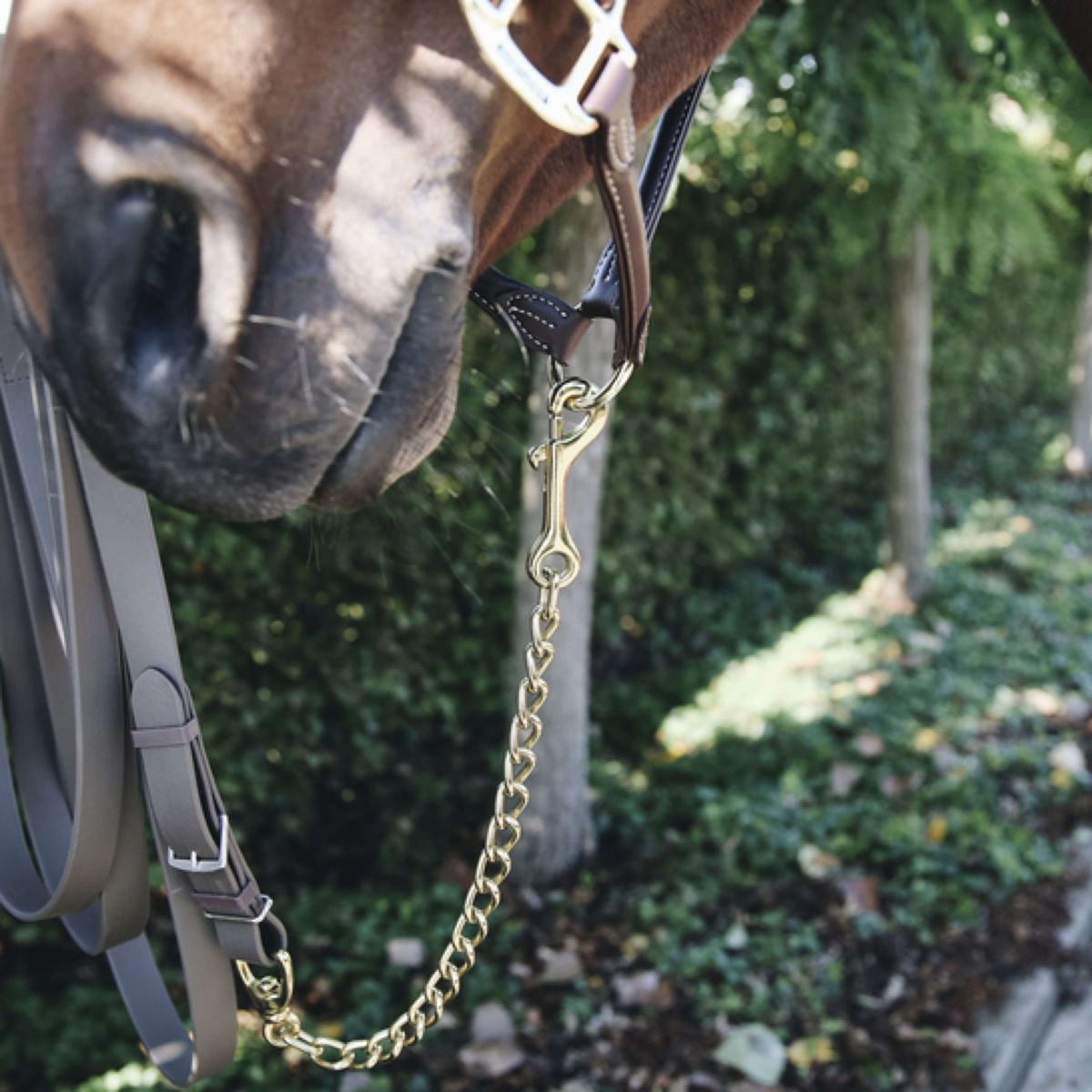 Kentucky Horsewear Catena per Stalloni