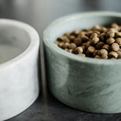 Kentucky Dogwear Ciotola per Cani Bianco