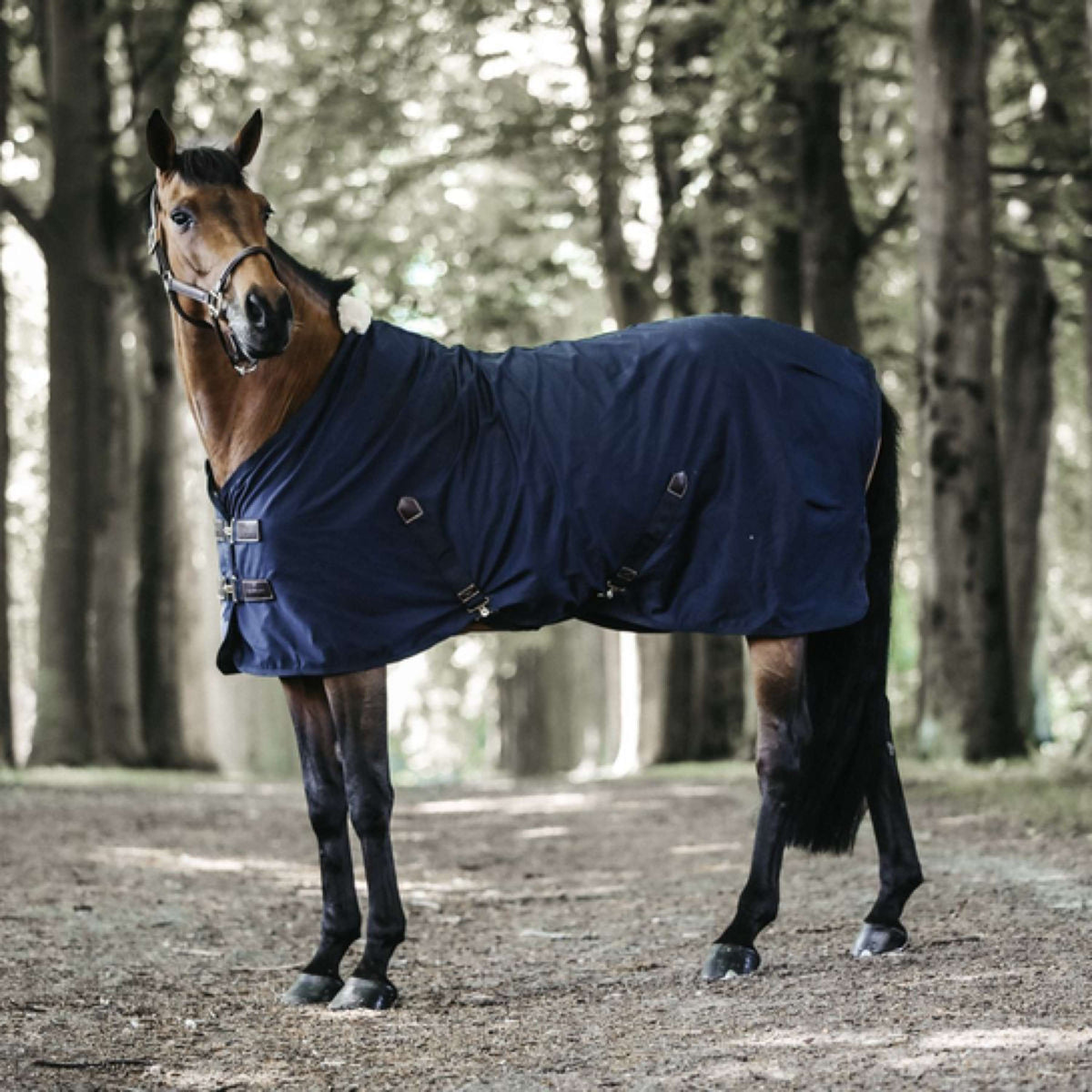 Kentucky Horsewear Coperta di cotone Navy