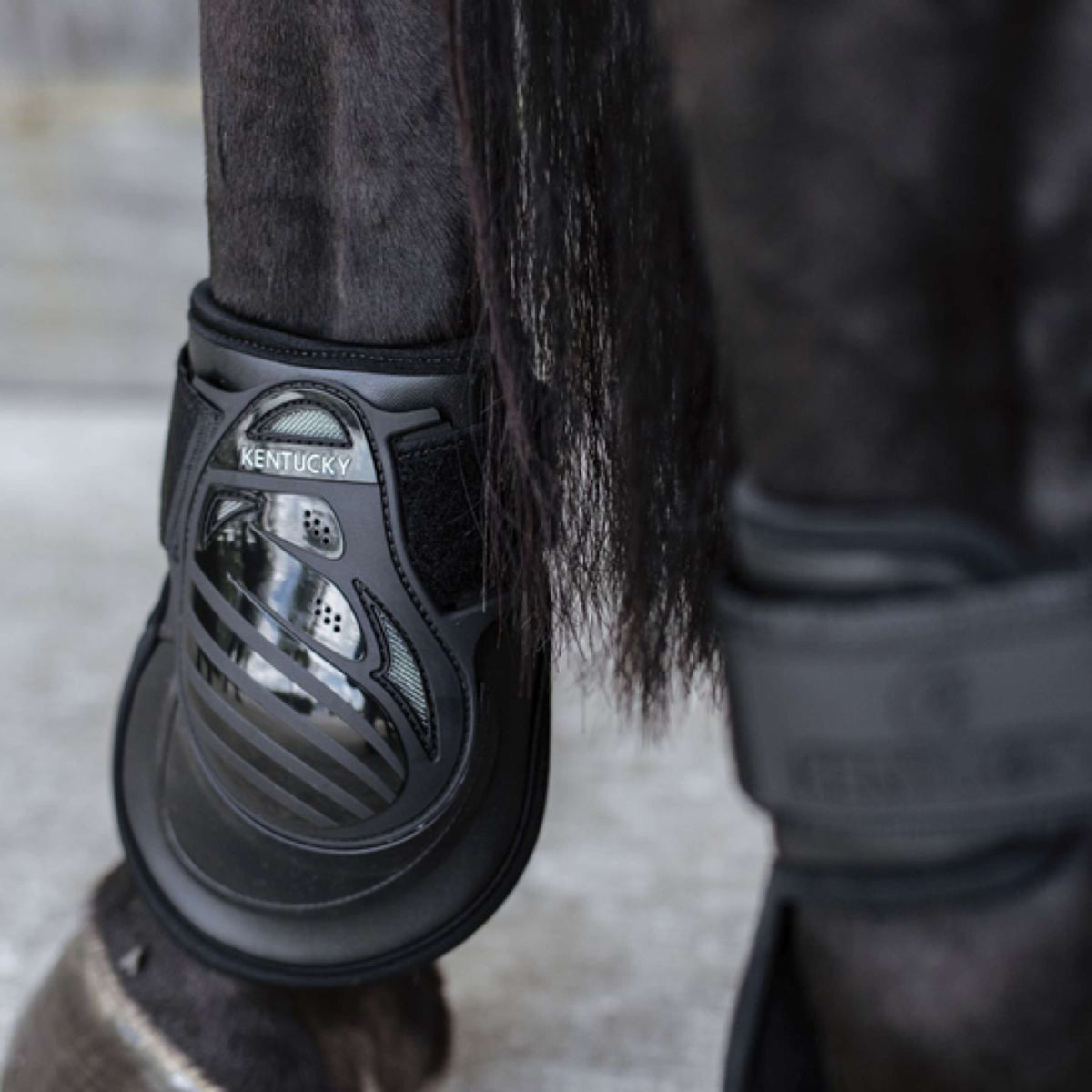 Kentucky Horsewear Stinchiere Deep Nero