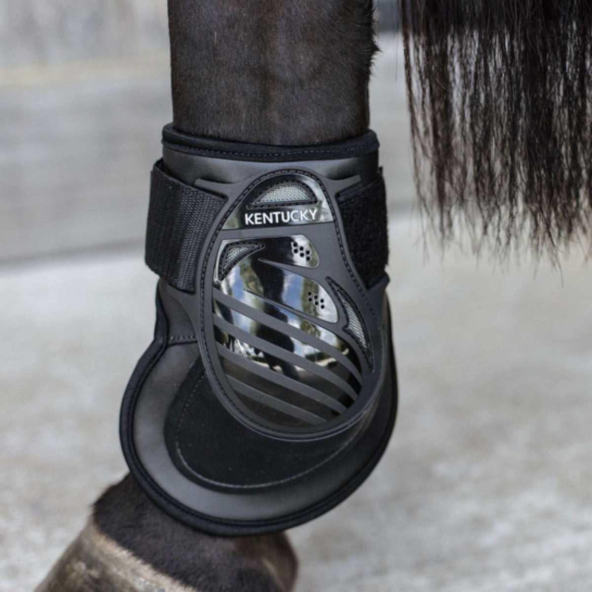 Kentucky Horsewear Stinchiere Deep Nero