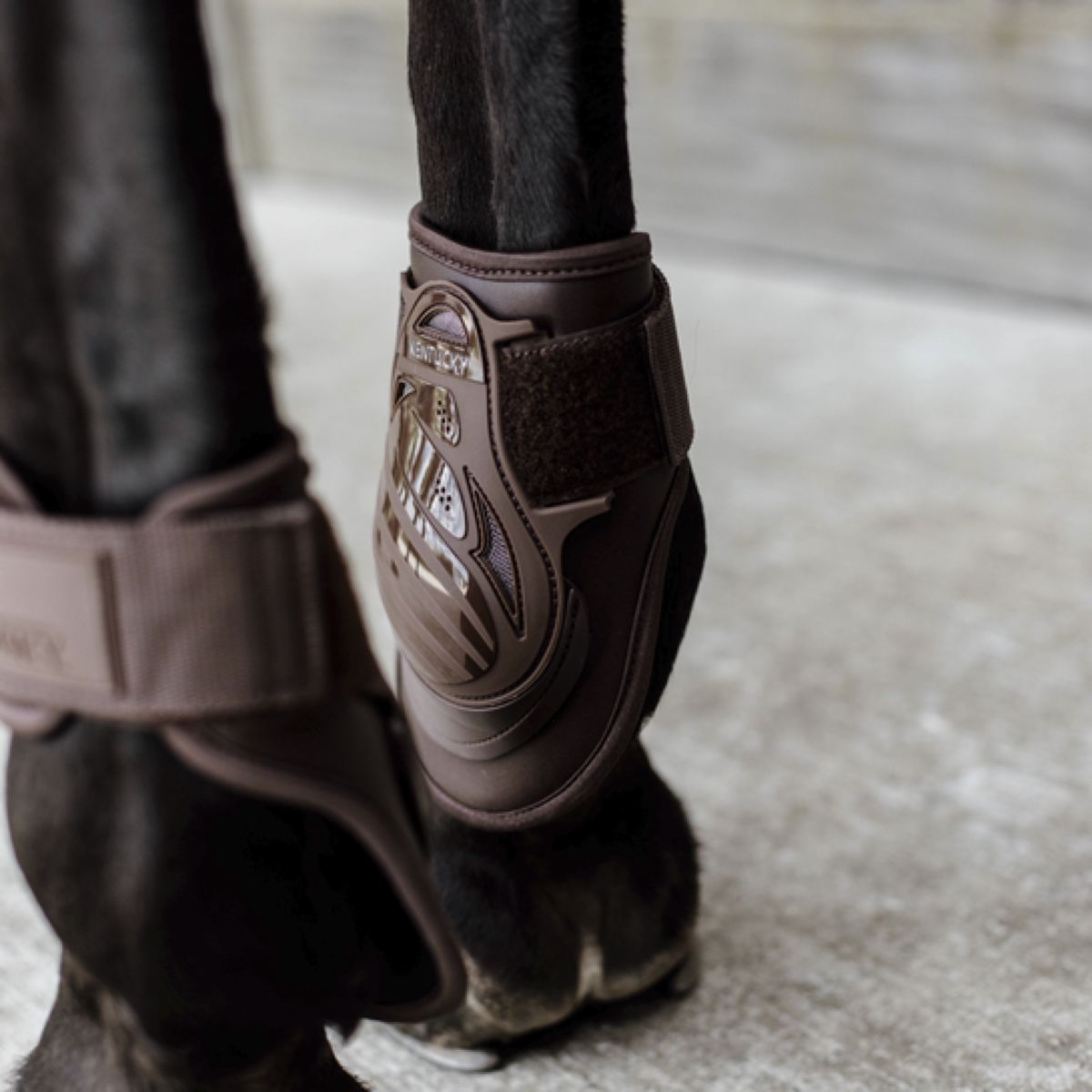 Kentucky Horsewear Stinchiere Deep Marrone