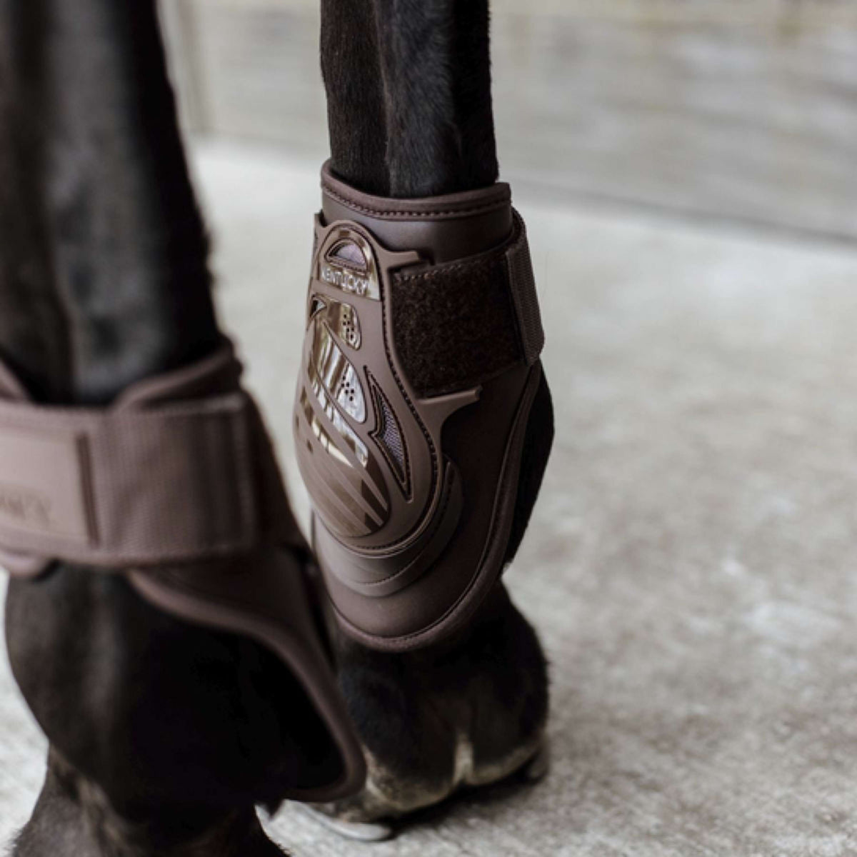 Kentucky Horsewear Stinchiere Deep Marrone