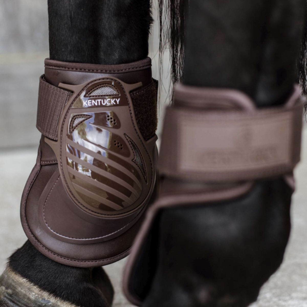 Kentucky Horsewear Stinchiere Deep Marrone
