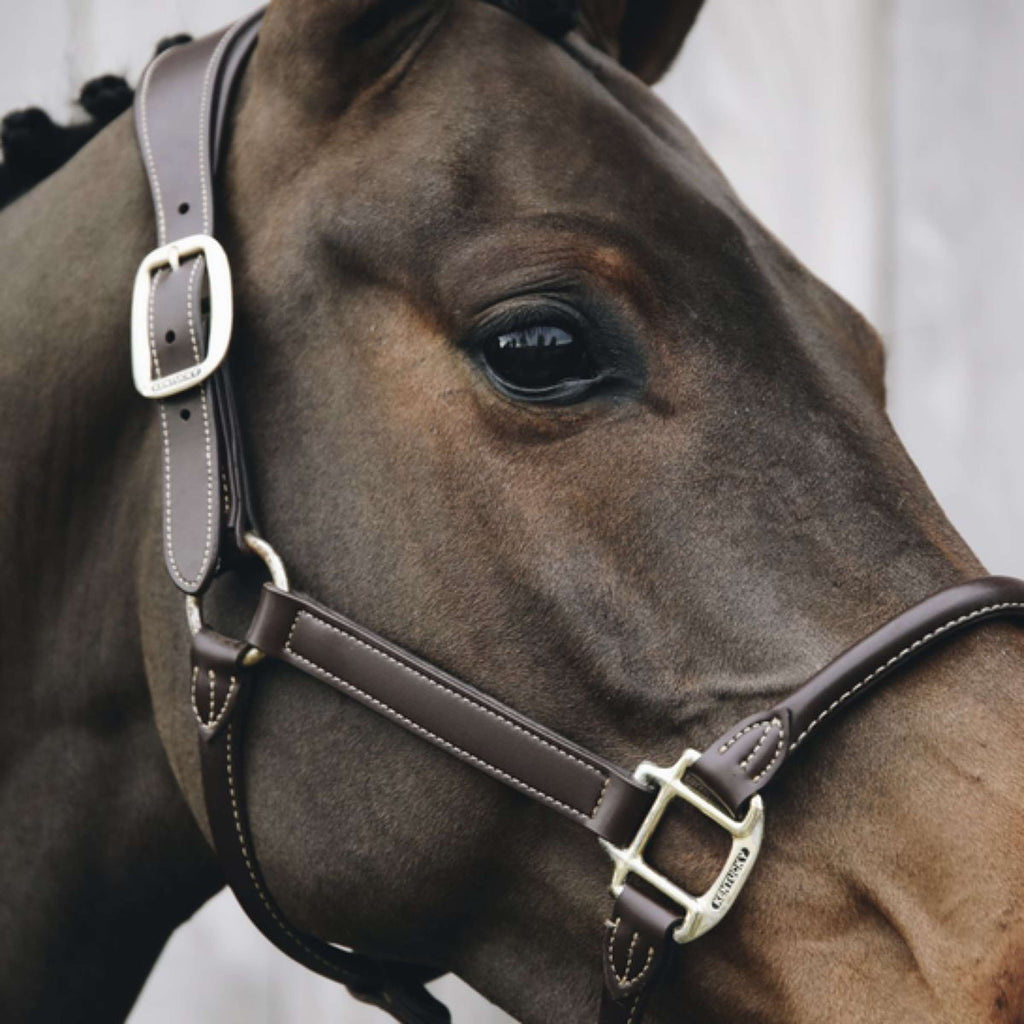Kentucky Horsewear Cavezza Pelle Anatomica Marrone