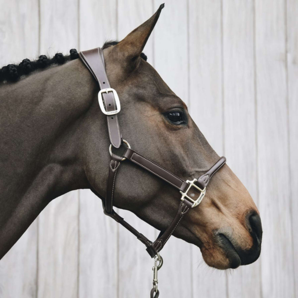 Kentucky Horsewear Cavezza Pelle Anatomica Marrone