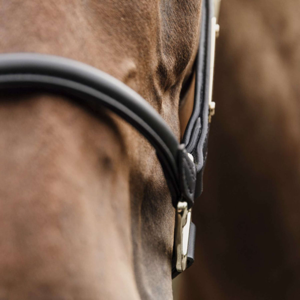 Kentucky Horsewear Cavezza Pelle Anatomica Nero