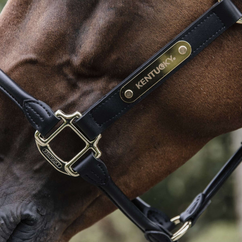 Kentucky Horsewear Cavezza Pelle Anatomica Nero