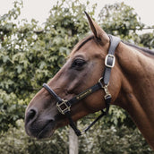 Kentucky Horsewear Capezzina Nero