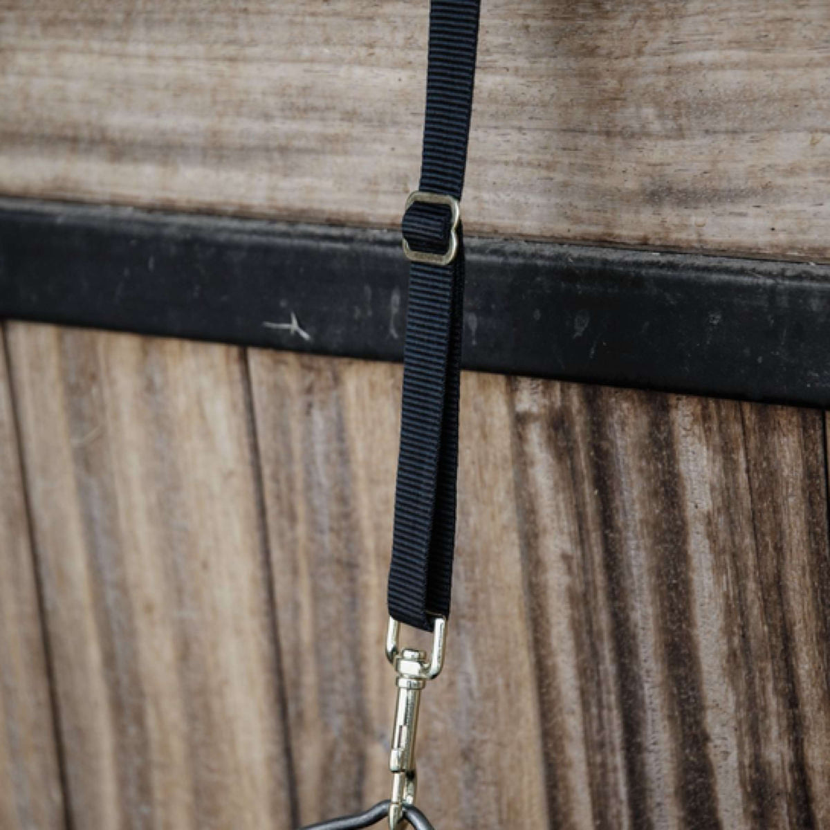 Kentucky Horsewear Supporto in nylon Nero