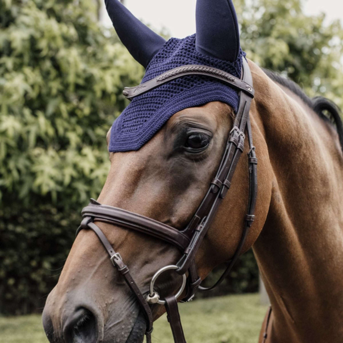 Kentucky Horsewear Cuffietta Wellington Soundless Dark Navy