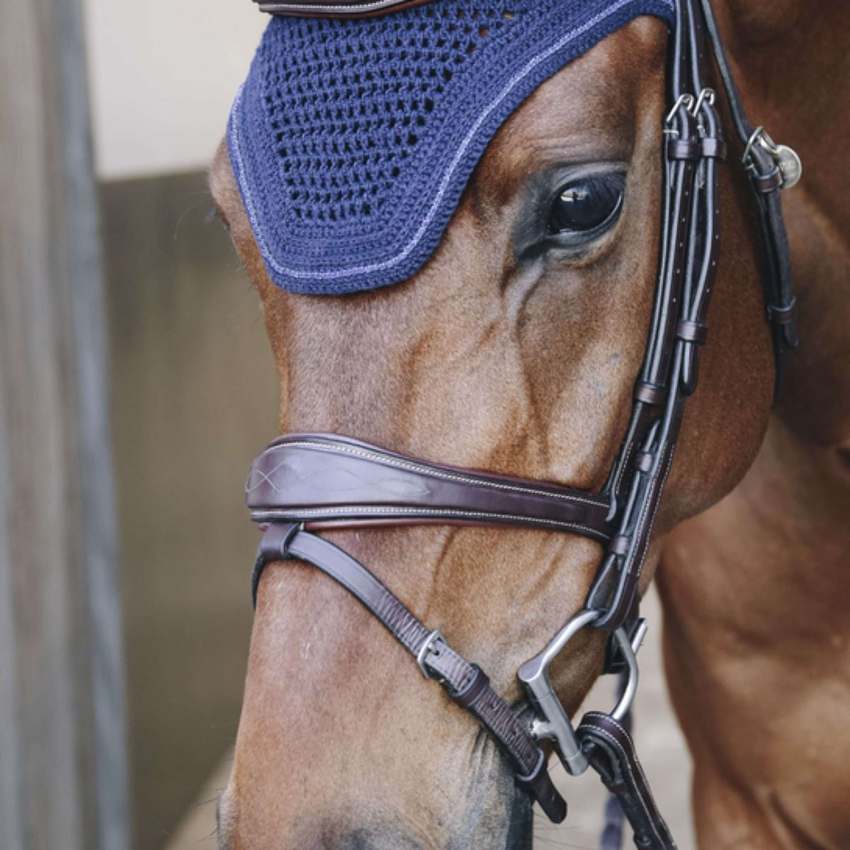 Kentucky Horsewear Copriorecchie Wellington Scintillante senza suono Dark Navy