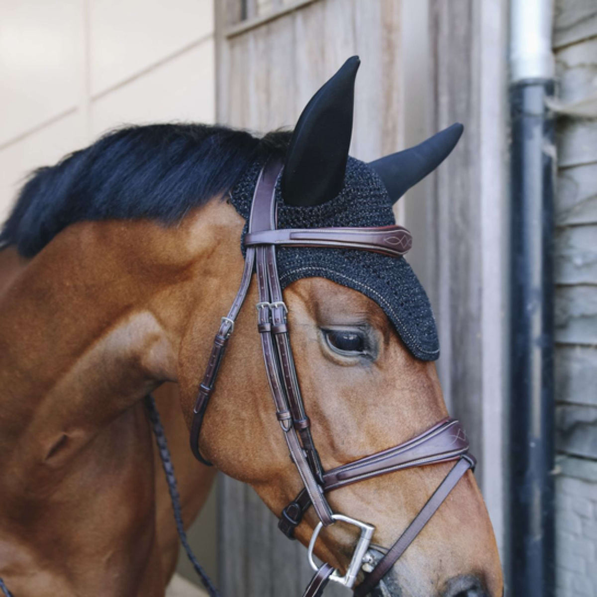 Kentucky Horsewear Copriorecchie Wellington Nero