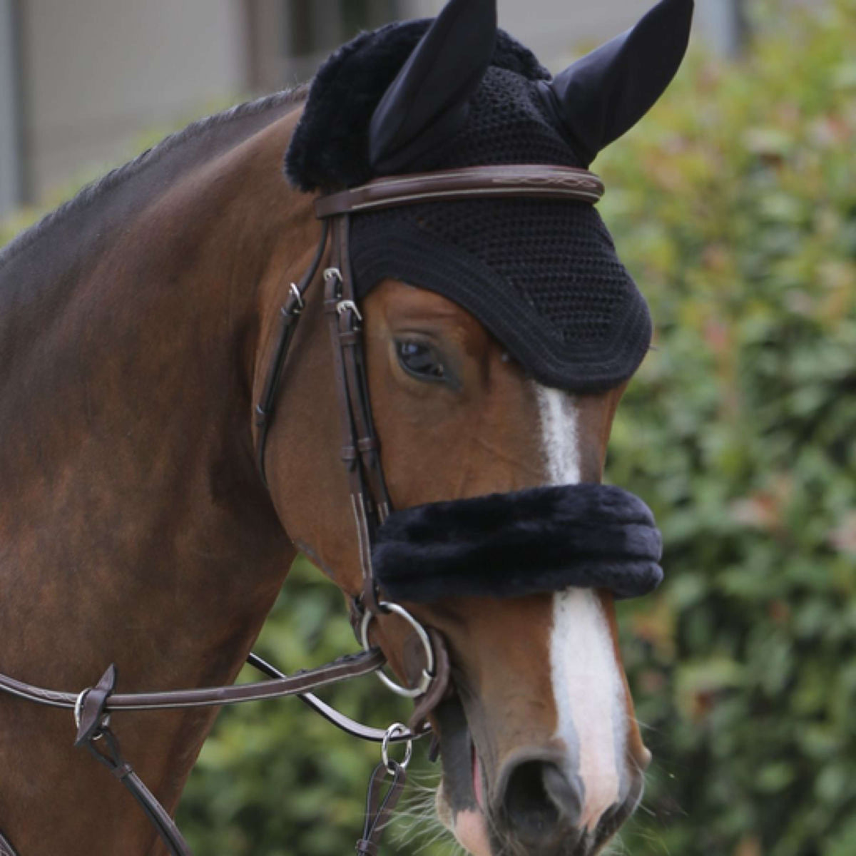 Kentucky Horsewear Copriorecchie Wellington Nero