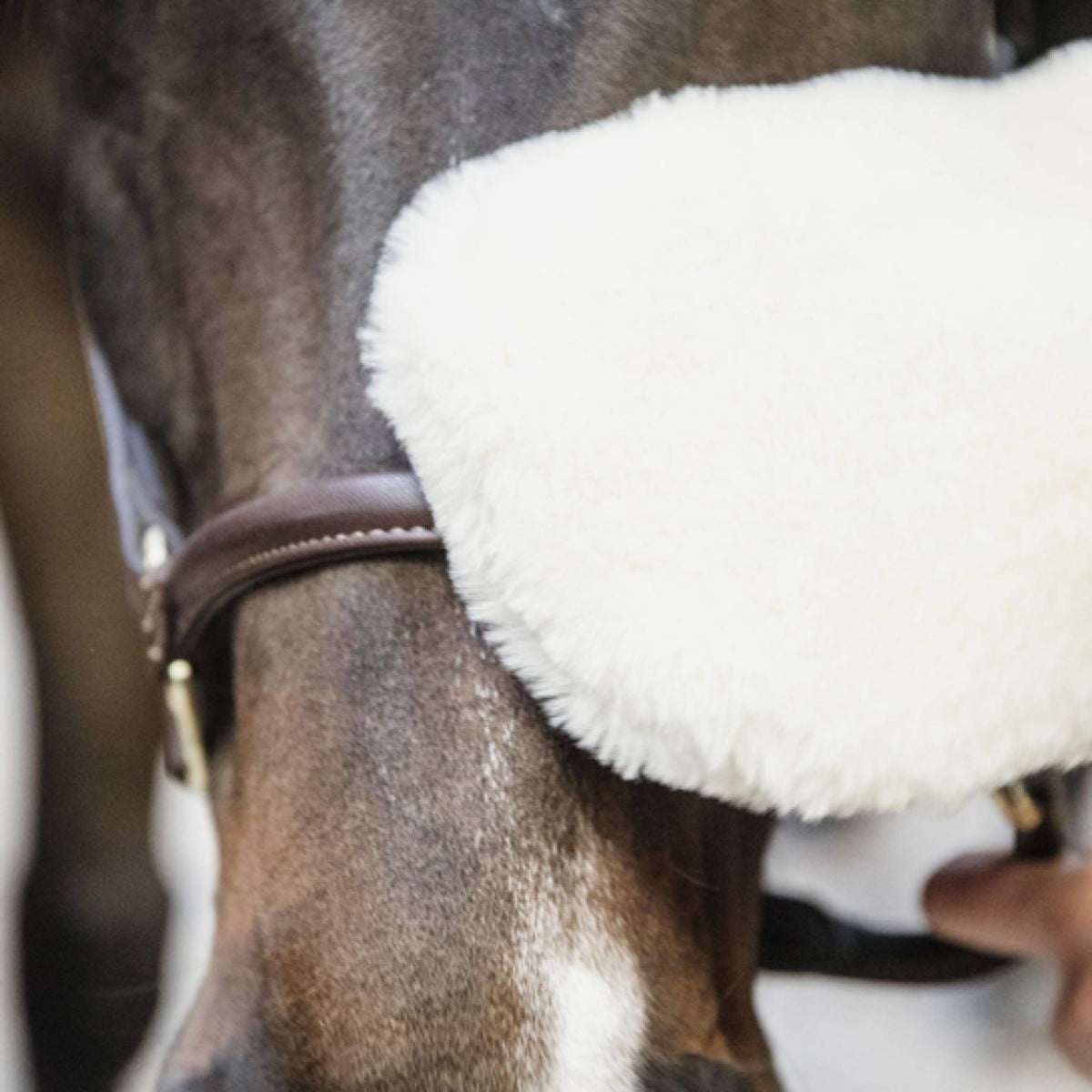 Kentucky Horsewear Guanto da Strigliatura Naturale