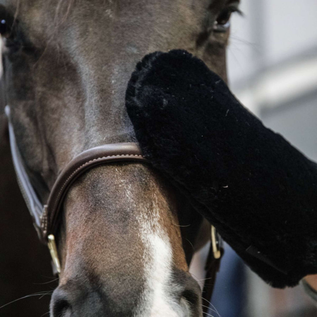 Kentucky Horsewear Guanto da Strigliatura Nero