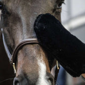 Kentucky Horsewear Guanto da Strigliatura Nero