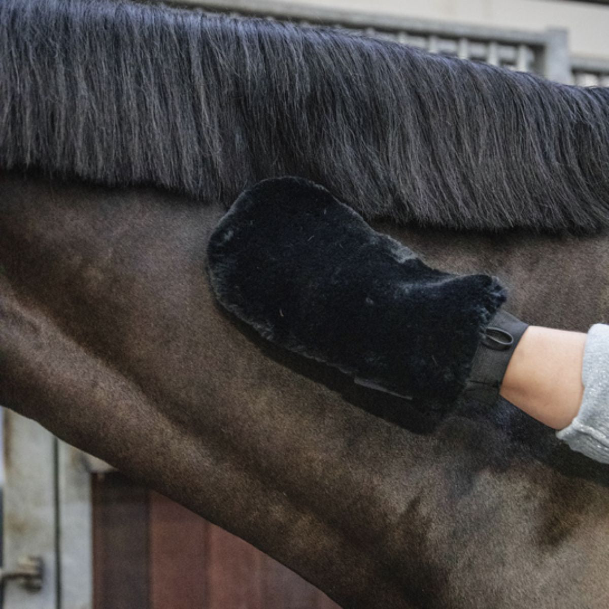 Kentucky Horsewear Guanto da Strigliatura Nero