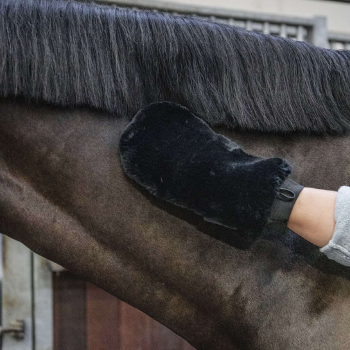 Kentucky Horsewear Guanto da Strigliatura Nero