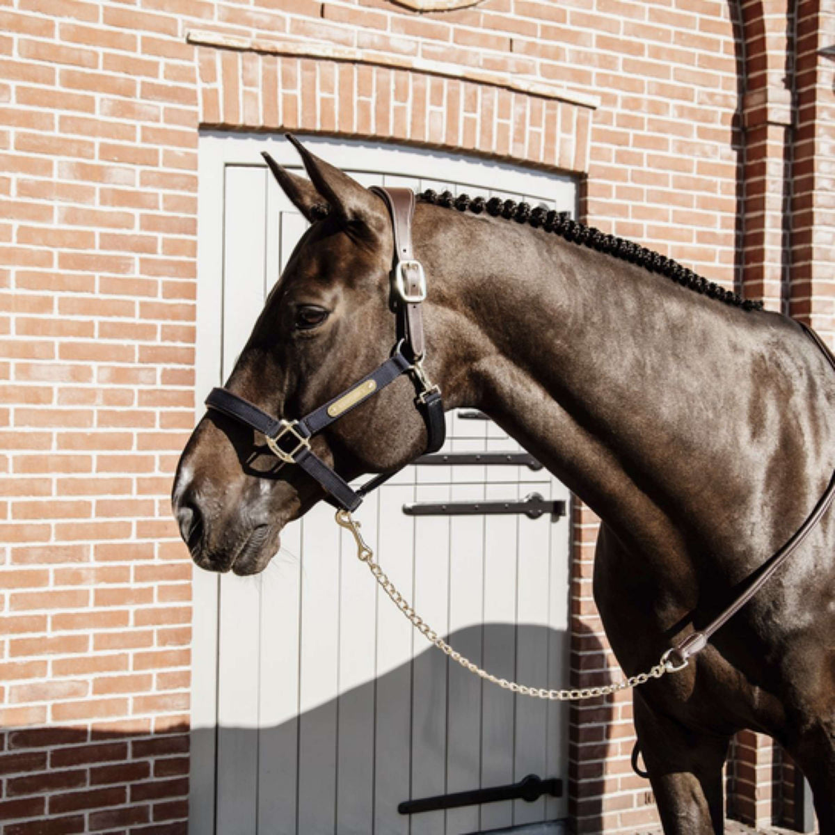 Kentucky Horsewear Corda di Presentazione Leather Chain Marrone