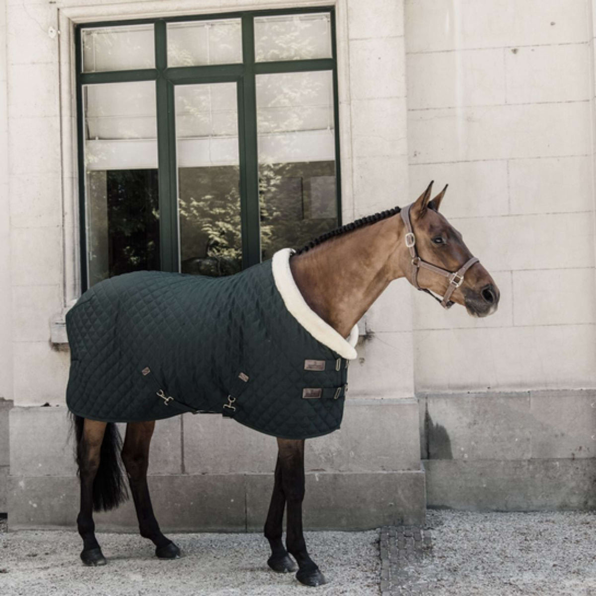 Kentucky Horsewear Coperta da esposizione Verde scuro