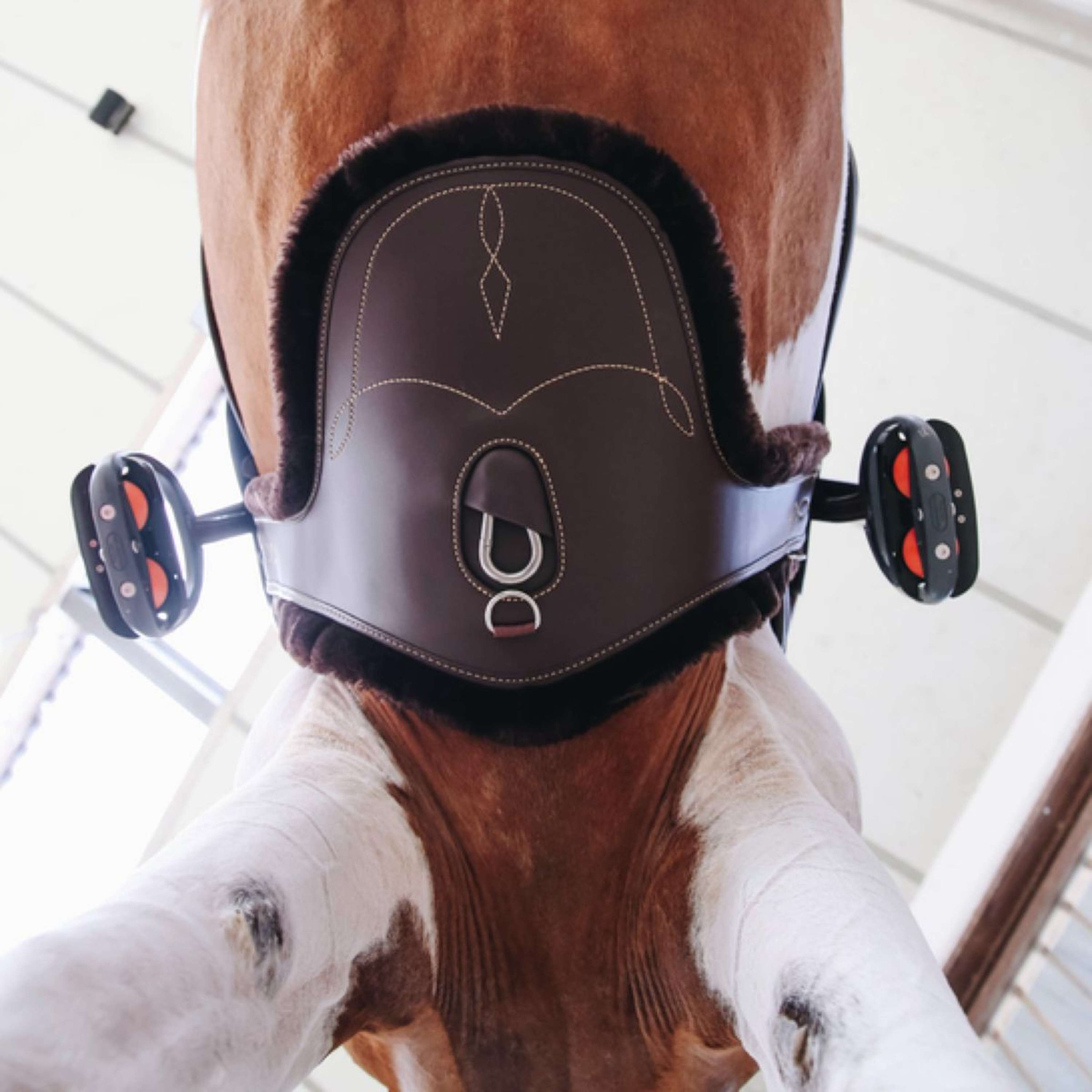 Kentucky Horsewear Copricinghia Marrone Kentucky Horsewear Copricinghia Marrone