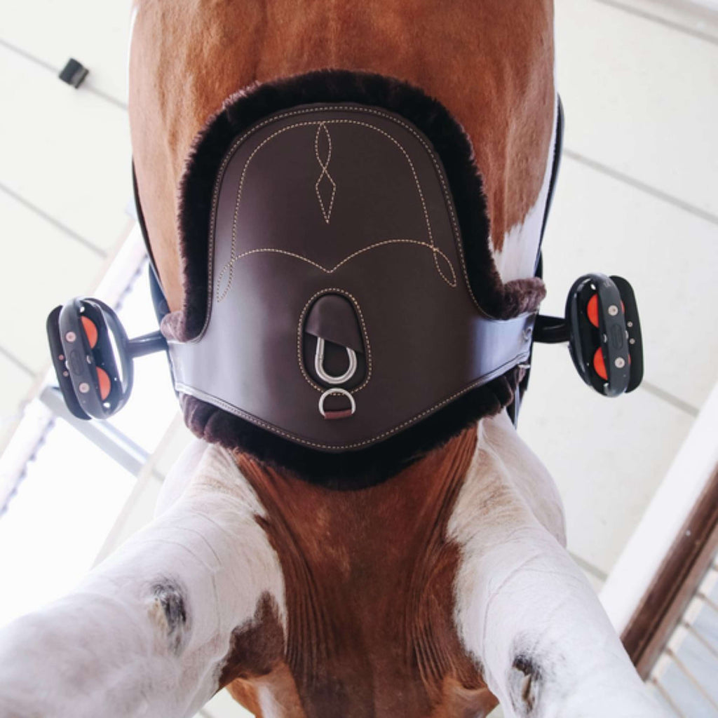 Kentucky Horsewear Copricinghia Marrone