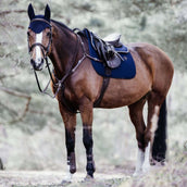 Kentucky Horsewear Sottosella a molla Fishbone Navy