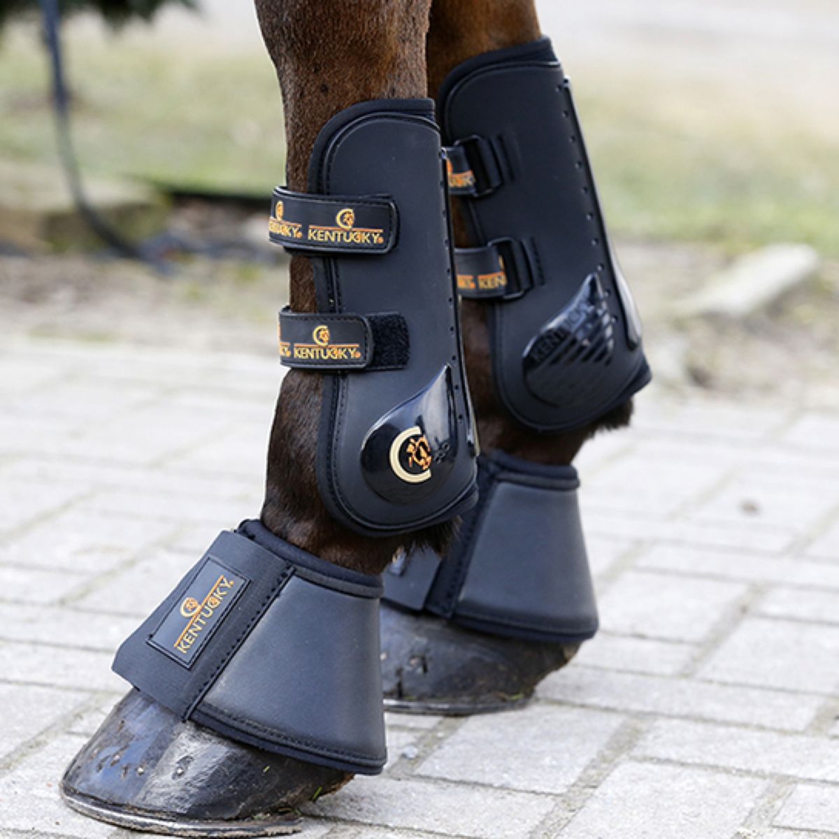 Kentucky Horsewear Stivaletti a Campana Nero