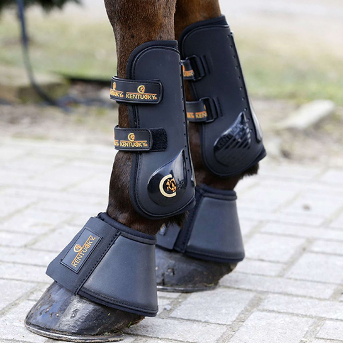 Kentucky Horsewear Stivaletti a Campana Nero