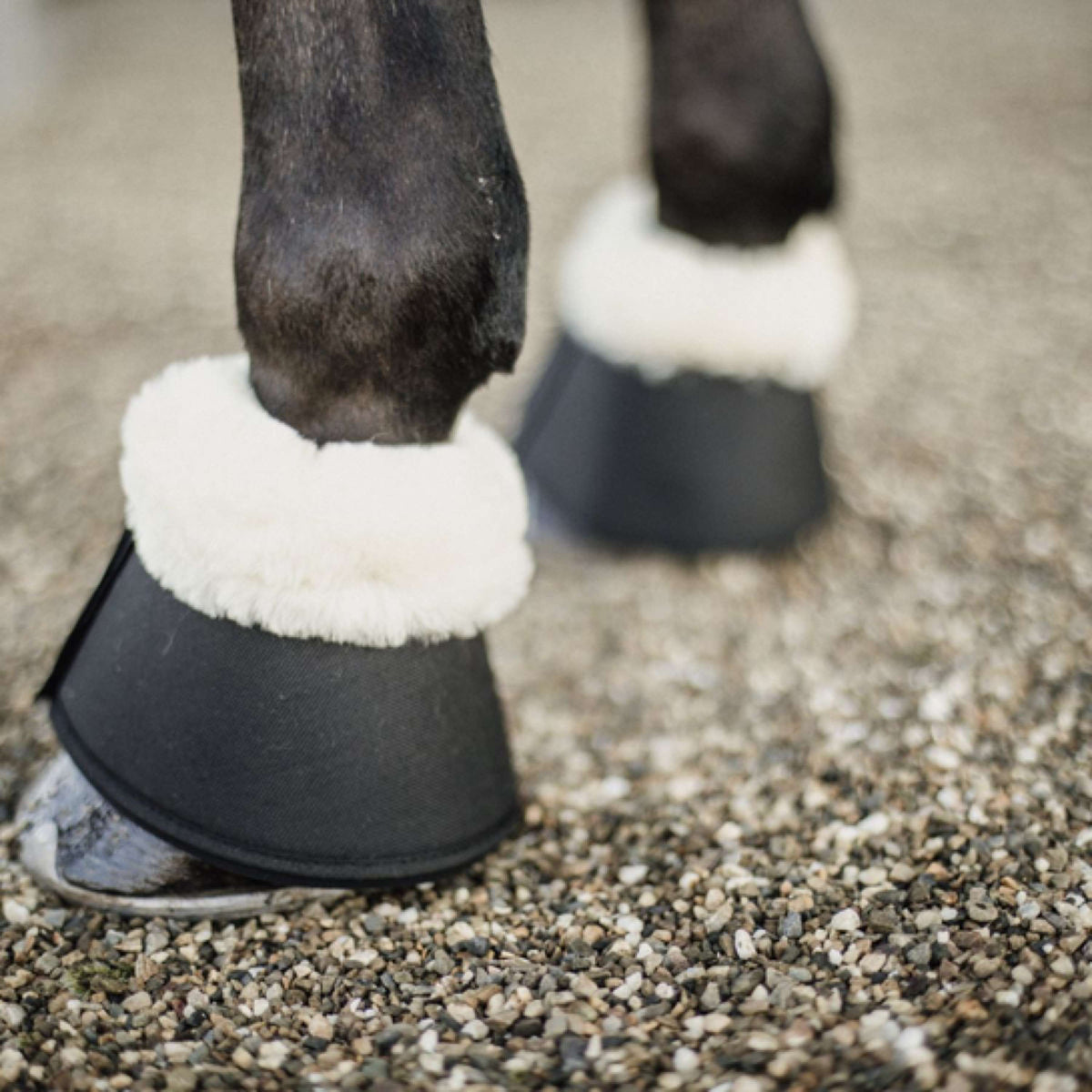 Kentucky Horsewear Stivaletti a Campana Sheepskin Nero