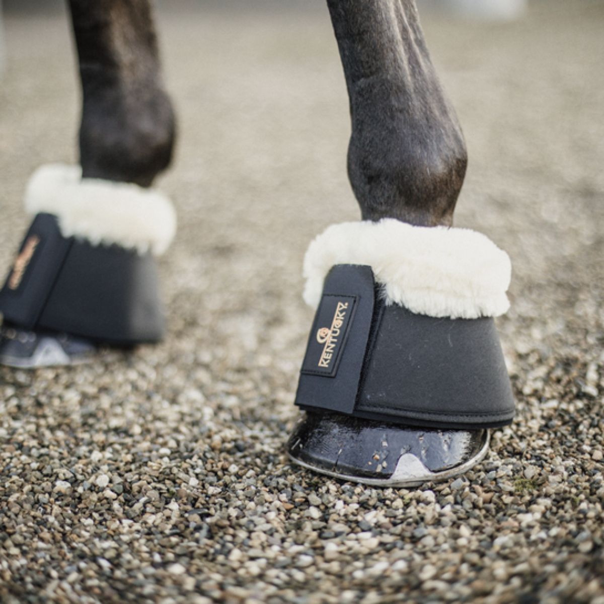 Kentucky Horsewear Stivaletti a Campana Sheepskin Nero