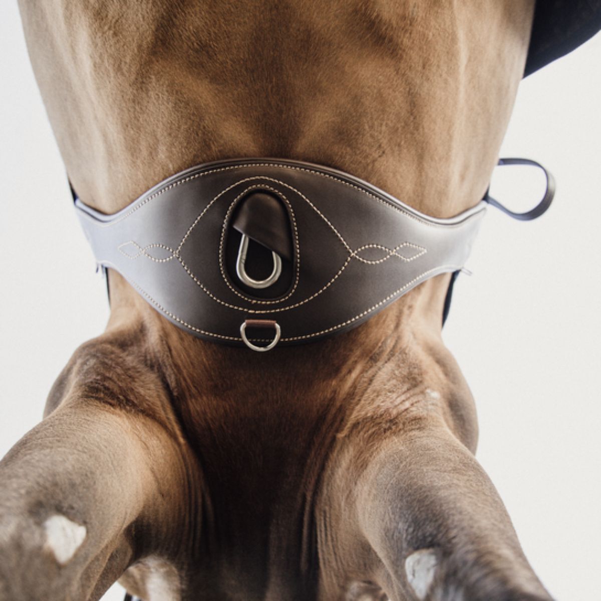 Kentucky Horsewear Sottopancia da salto Marrone