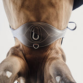 Kentucky Horsewear Sottopancia da salto Marrone
