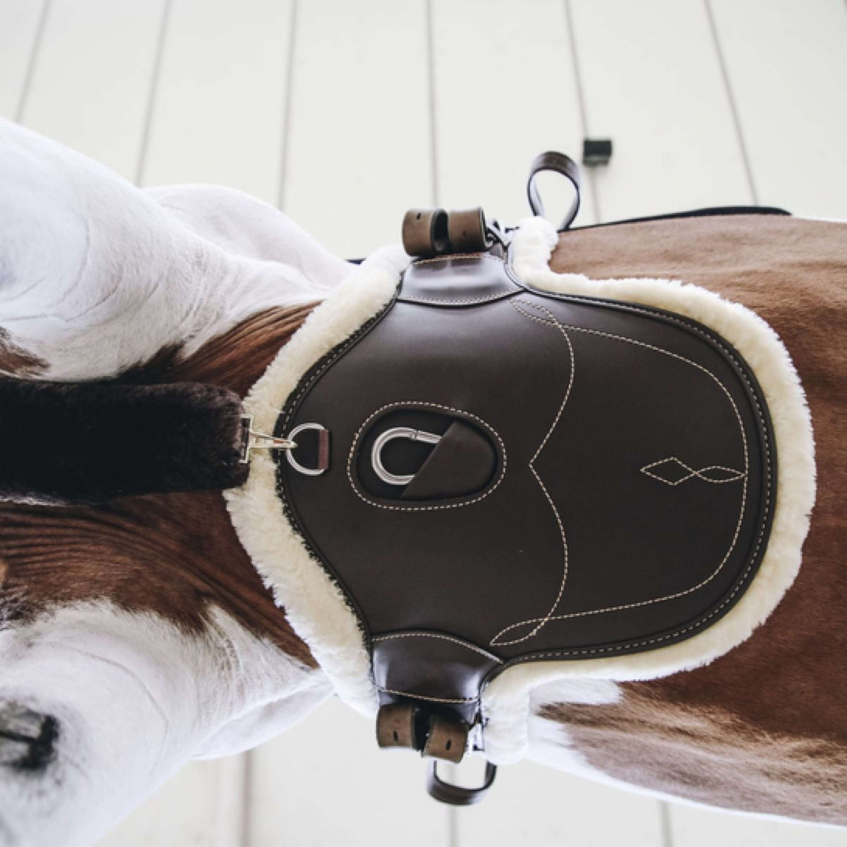 Kentucky Horsewear Sottopancia da salto Marrone
