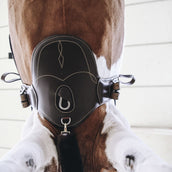 Kentucky Horsewear Sottopancia da salto Marrone