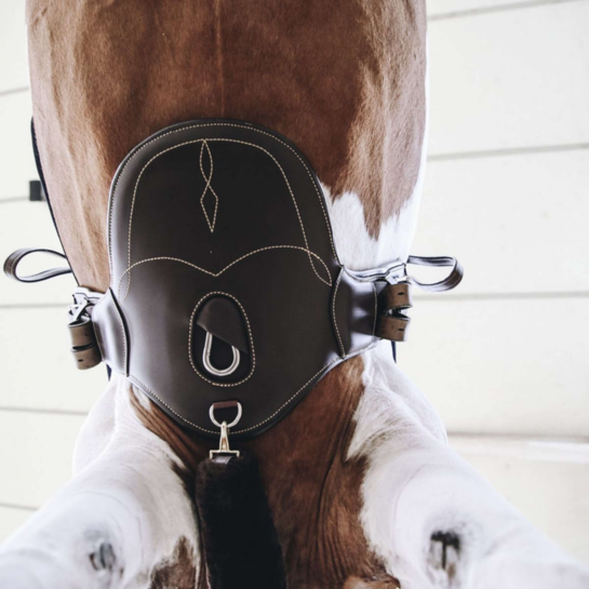 Kentucky Horsewear Sottopancia da salto Marrone