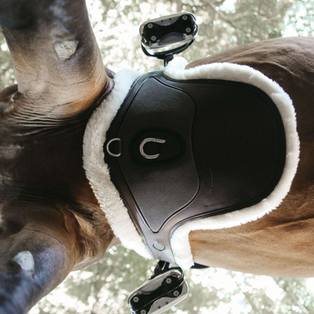 Kentucky Horsewear Sottopancia da salto Marrone